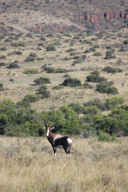 Ko Ka Tsara Bush Camp Villa Beaufort West Luaran gambar