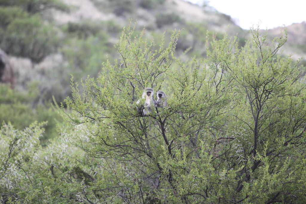 Ko Ka Tsara Bush Camp Villa Beaufort West Luaran gambar